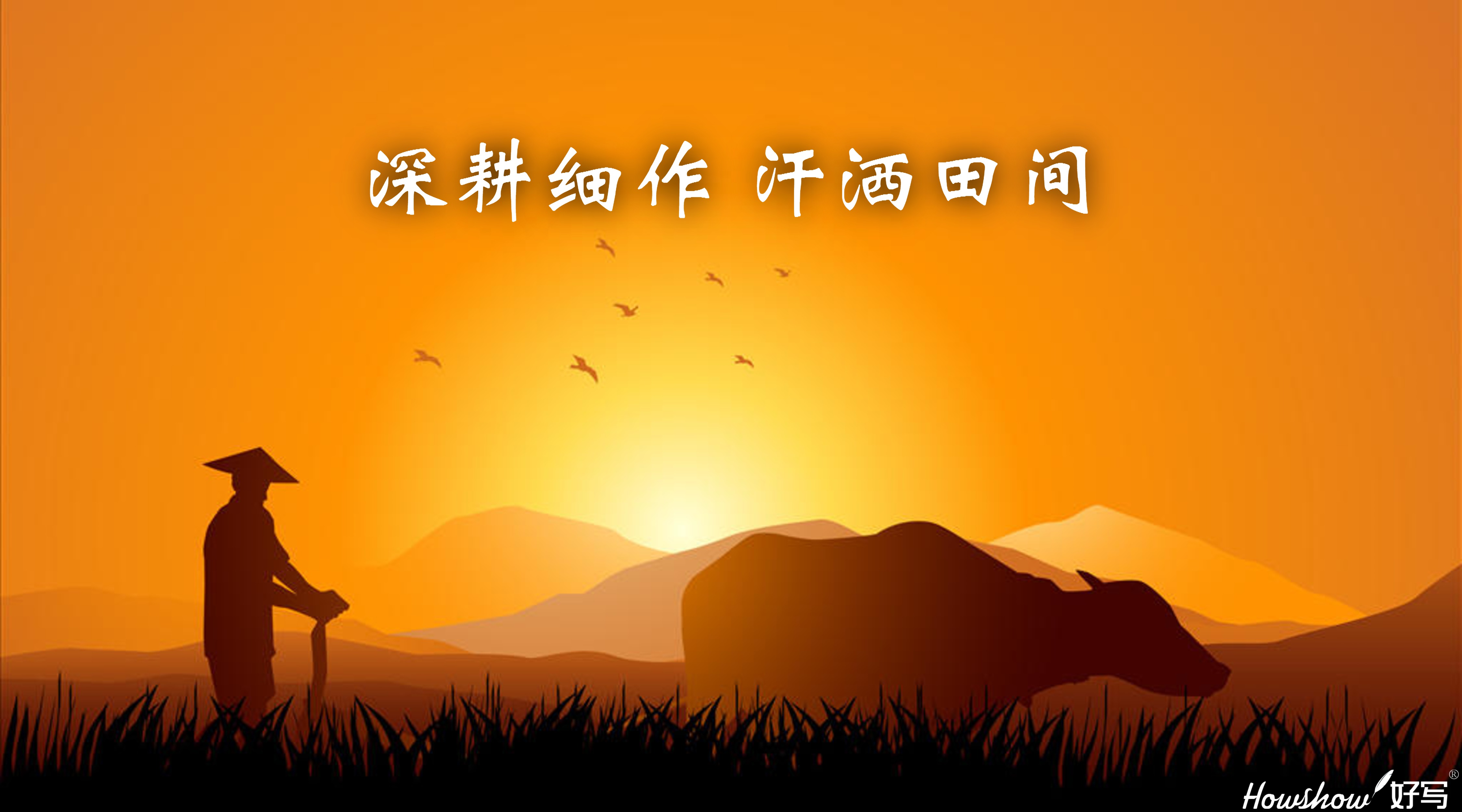 深耕細(xì)作·汗灑田間 ‖ 一場(chǎng)從內(nèi)到外的革新，正在好寫(xiě)拉開(kāi)帷幕！